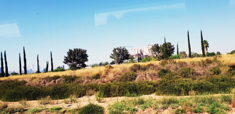 HanhHuong_Israel_2018_027