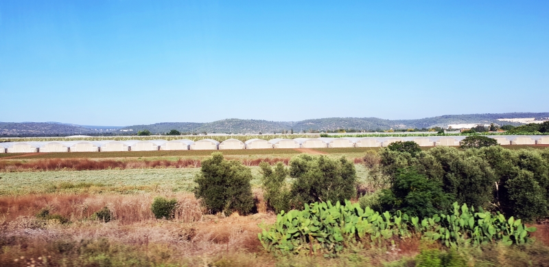 HanhHuong_Israel_2018_039