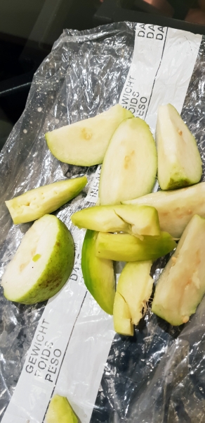 HanhHuong_Israel_2018_157