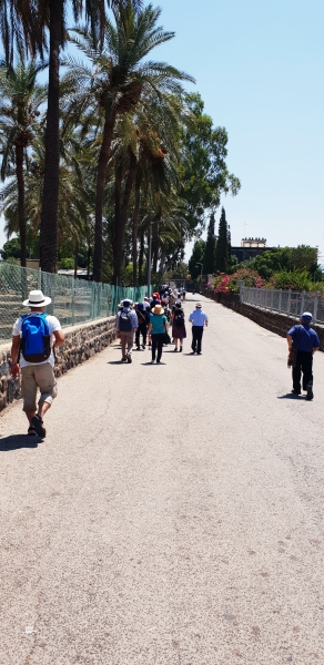 HanhHuong_Israel_2018_190