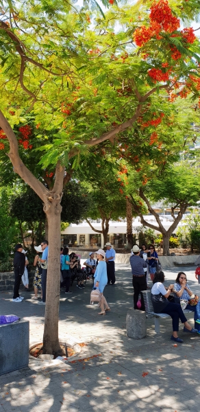 HanhHuong_Israel_2018_229