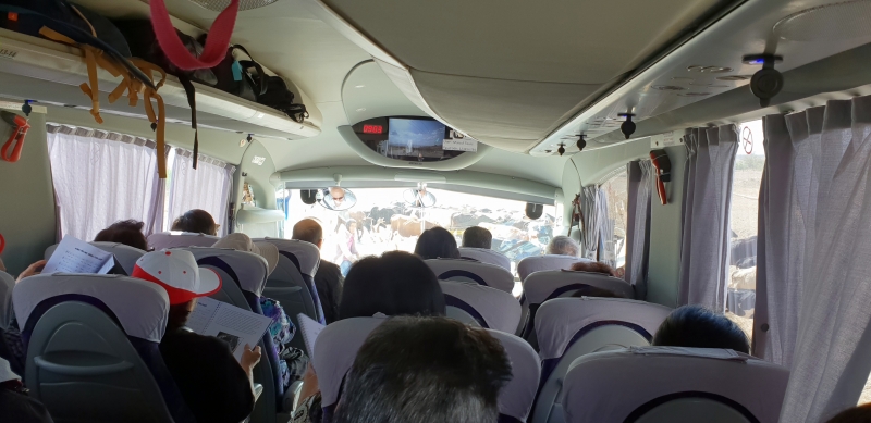 HanhHuong_Israel_2018_256
