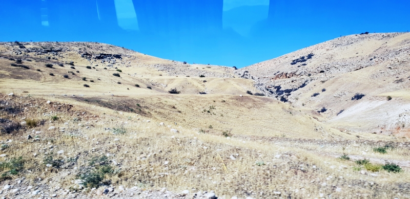HanhHuong_Israel_2018_259