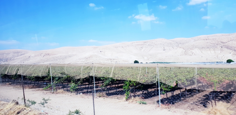 HanhHuong_Israel_2018_261