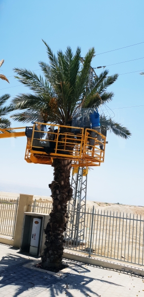 HanhHuong_Israel_2018_289