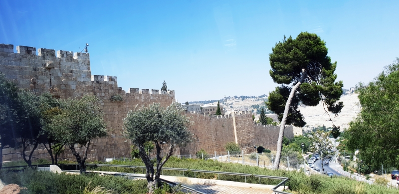 HanhHuong_Israel_2018_398
