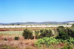 HanhHuong_Israel_2018_039