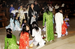 cttdvn2010_009
