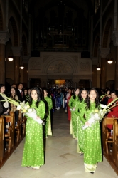 cttdvn2010_016