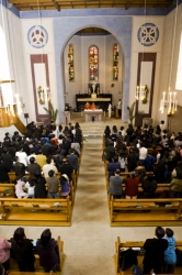 tinhtam2010_009